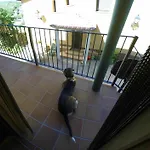 Graeras En Apartment