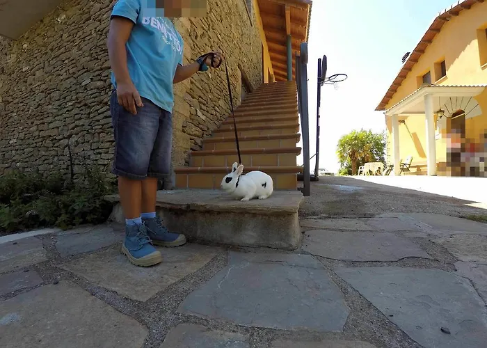 Graeras En Apartamento Castigaleu