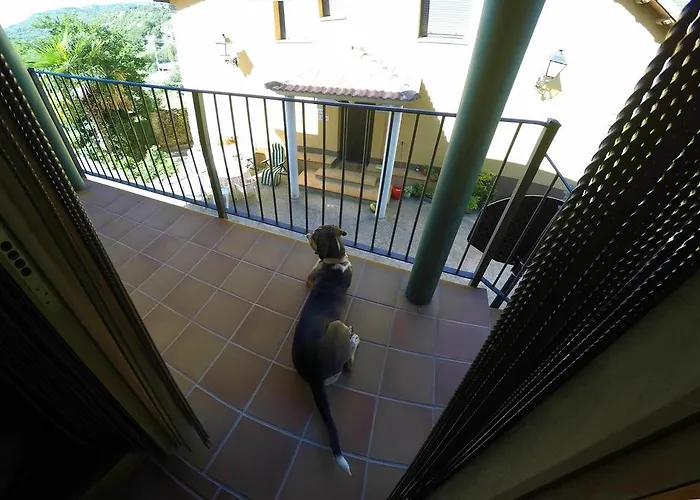 Graeras En Apartamento